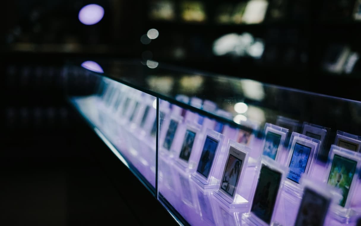 The counter and slab case at Cardboard Culture